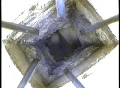 20120527-120053.jpg
