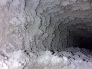 20121125-190020.jpg