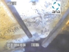 cappacucina04